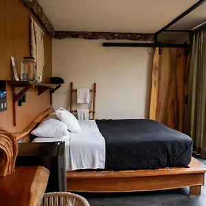 Hotell Bufo Alvarius Tulum